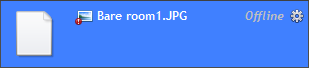 offline asset