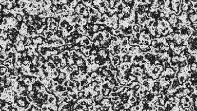 fractal