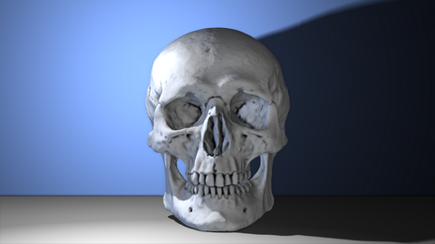 diffuse skull