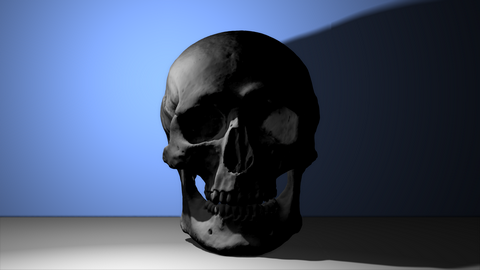 skull no reflec