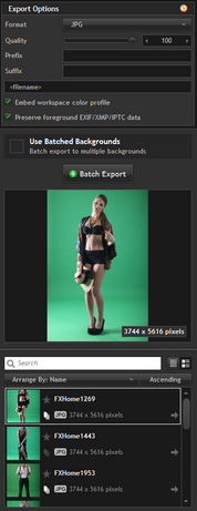 batch export
